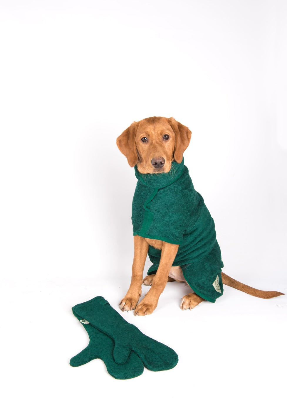 Dog bathrobe Bottle Green