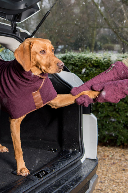 Trockenhandschuhe für Hunde - Moss