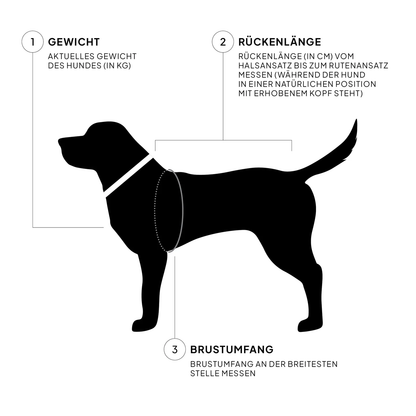 Hundemantel Alaska Sandy Brown - Dackelgrössen