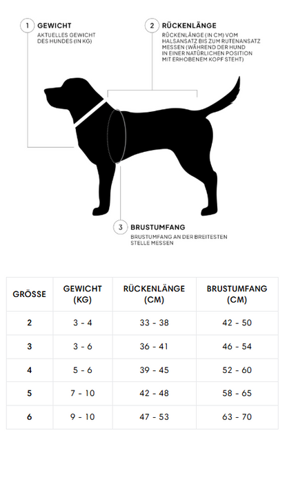 Hunderegenmantel Dublin - Dackel / Dachshund - Dark Olive