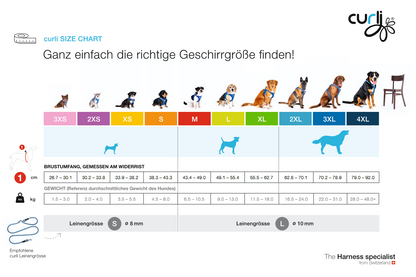 Vario Comfort Leine Sonderkollektion 2026 - Rot