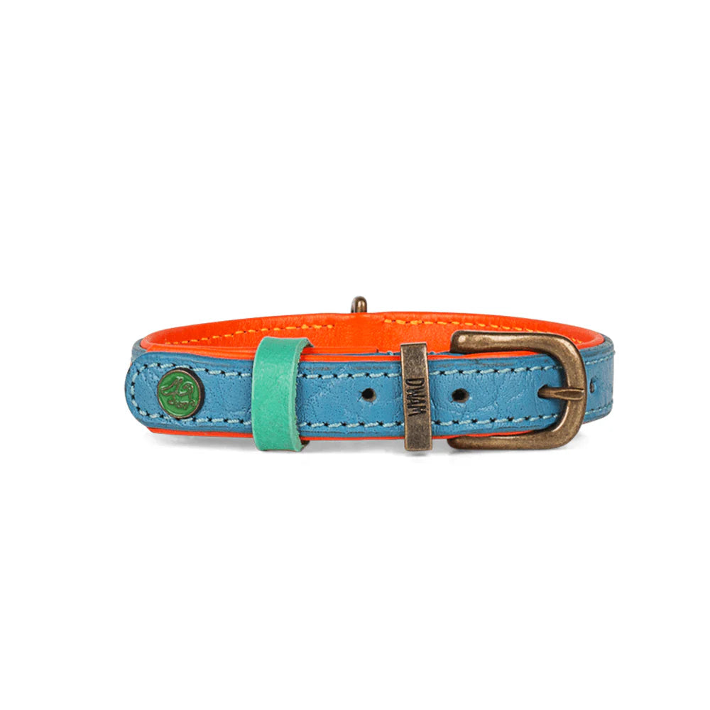 Rückseite des Halsband Jones