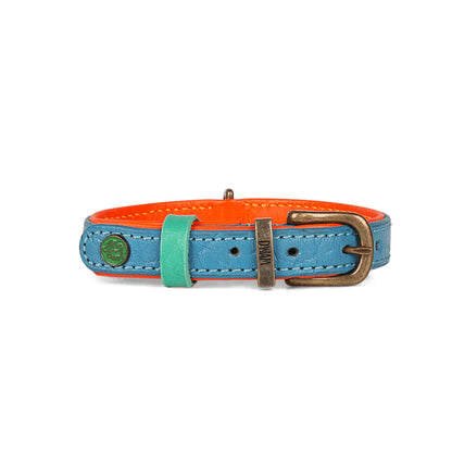 Rückseite des Halsband Jones