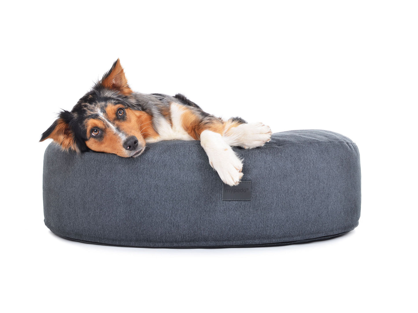 Dog cushion Mio Luxuryline