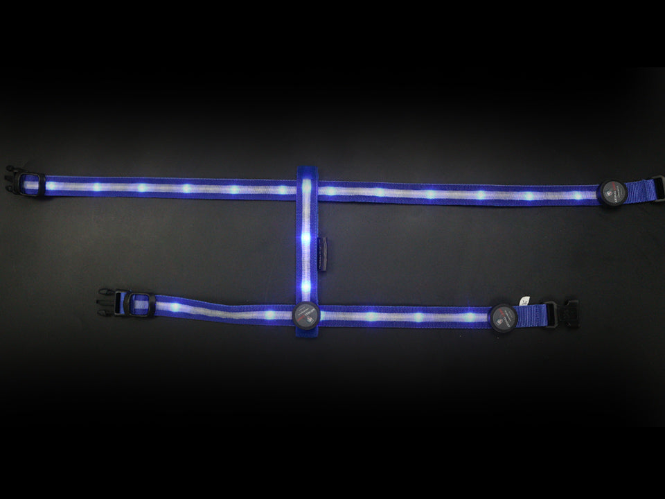 Glowing Harness 'Ninja'