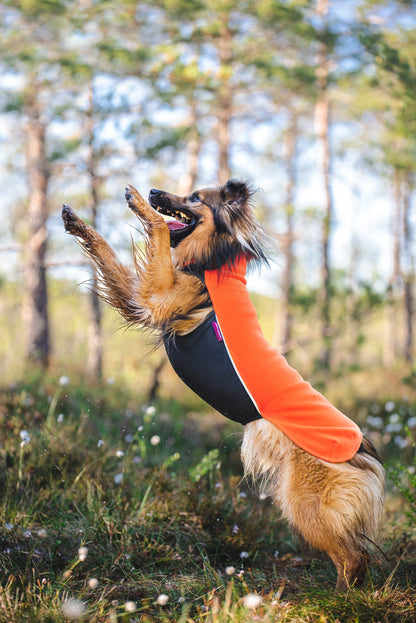 Jumppa Pomppa Habanero