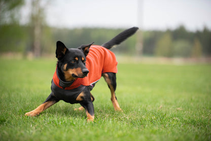 Jumppa Pomppa Habanero