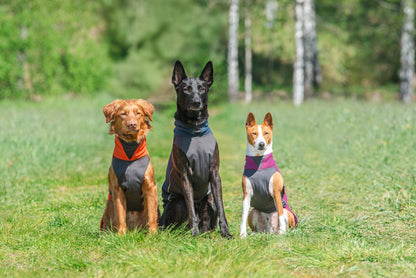 Jumppa Pomppa Habanero