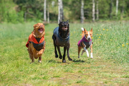 Jumppa Pomppa Habanero