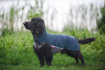 Jumppa Pomppa Midnight