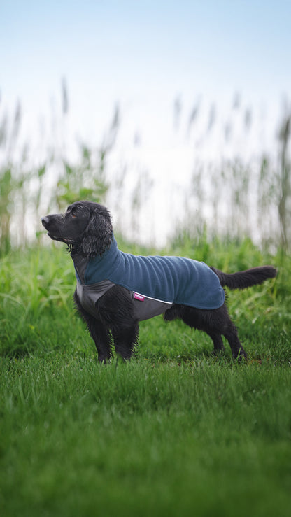 Jumppa Pomppa Midnight