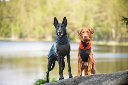 Jumppa Pomppa Midnight