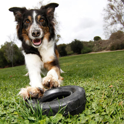 Hundespielzeug Kong® Tyres