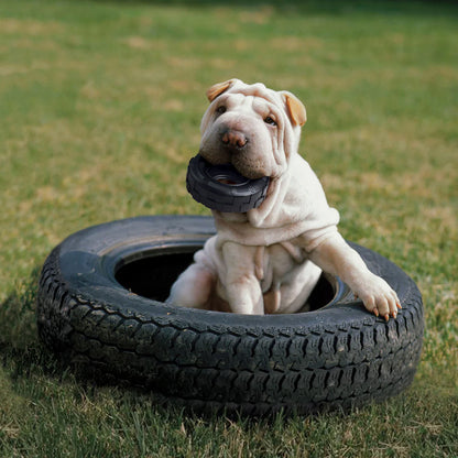 Hundespielzeug Kong® Tyres