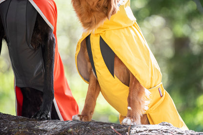 Kuori Pomppa Lemonade