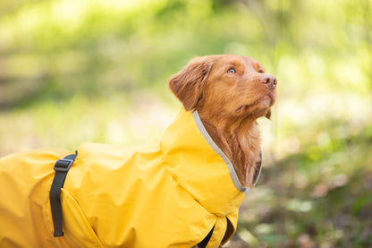 Kuori Pomppa Lemonade