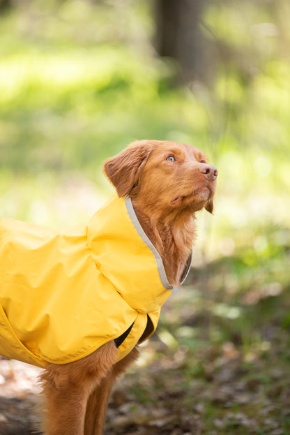 Kuori Pomppa Lemonade