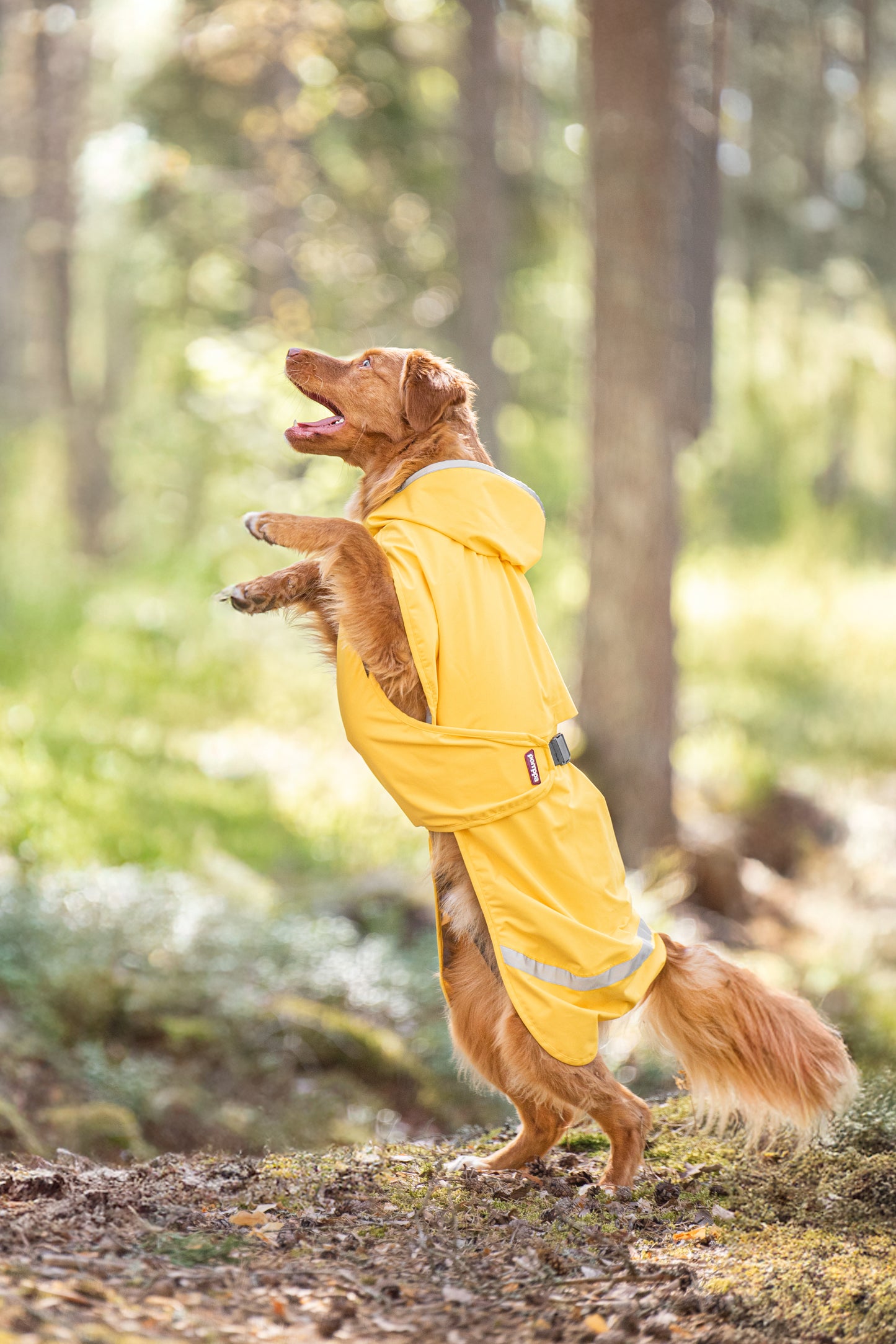 Kuori Pomppa Lemonade