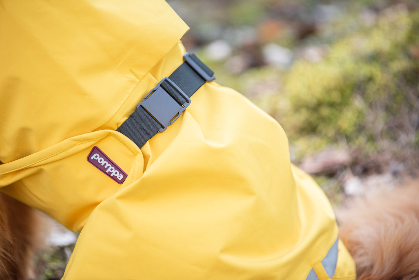 Kuori Pomppa Lemonade