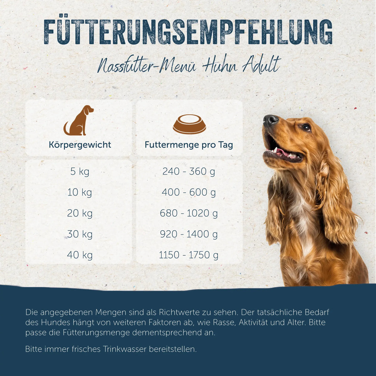 Nassfutter-Menü Huhn mit Apfel, Karotte und Fenchel - Adult