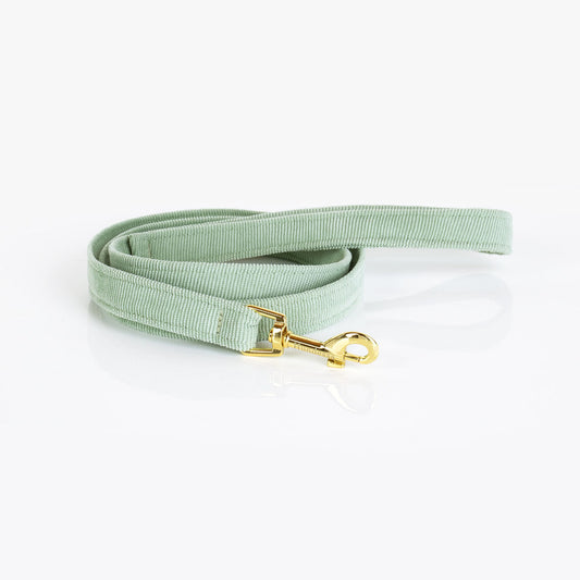 Leash lime green