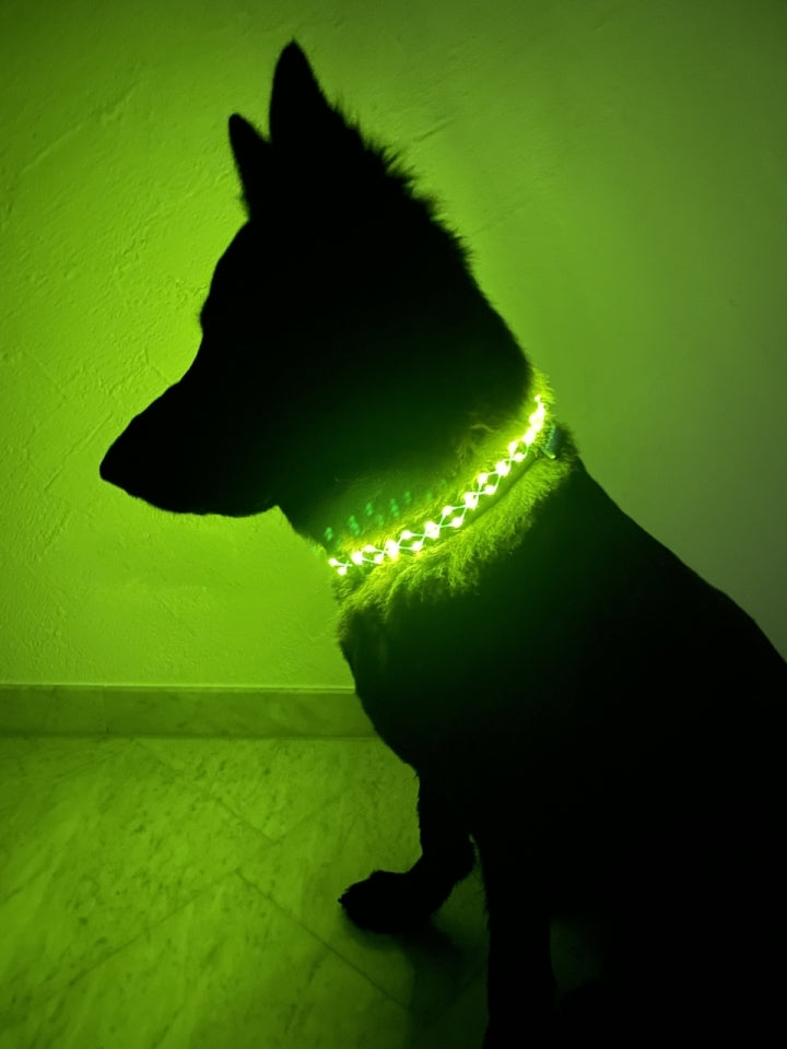 Glow collar 'Beauty'