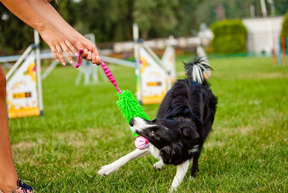 Mop Bungee Ball