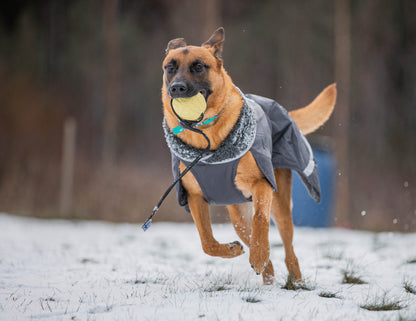 Dog Sweater 'Perus Pomppa' - Graphite