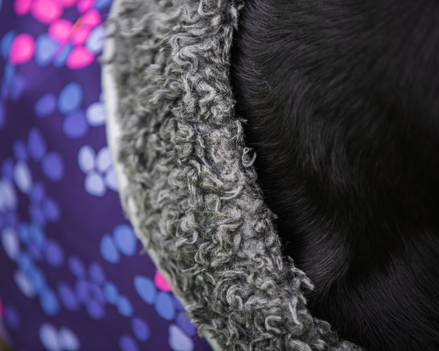 Dog Sweater 'Perus Pomppa' - Cosmos