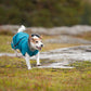 Dog Sweater 'Perus Pomppa' - Petrol