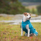 Dog Sweater 'Perus Pomppa' - Petrol