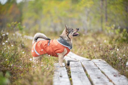 Dog Sweater 'Perus Pomppa' - Petrol