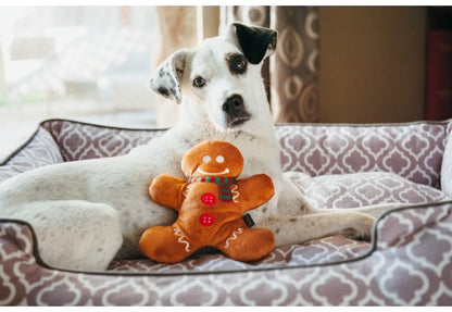 Plush Gingerbread Man