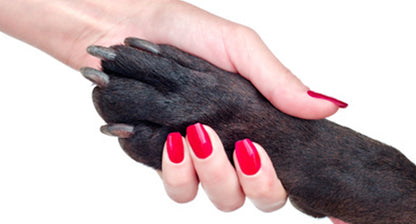 Relaxo Pet Pro Dog