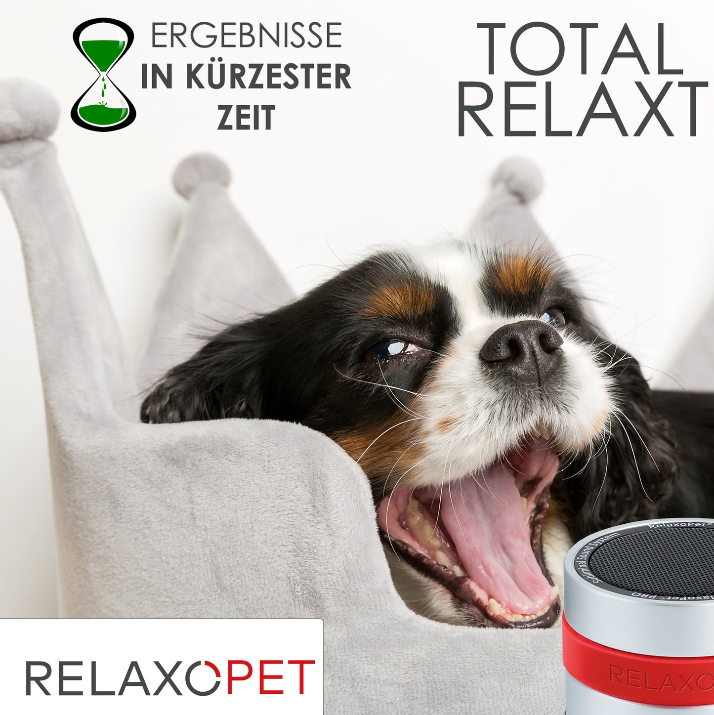 Relaxo Pet Pro Dog