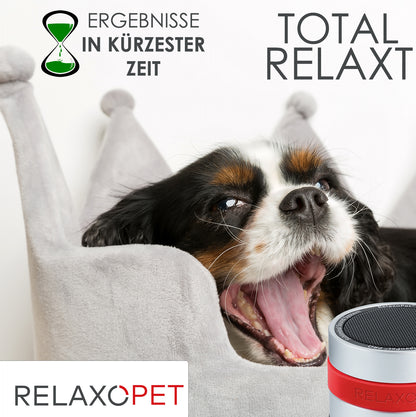 Relaxo Pet Pro Dog