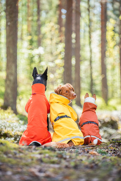 Kuori Pomppa Lemonade