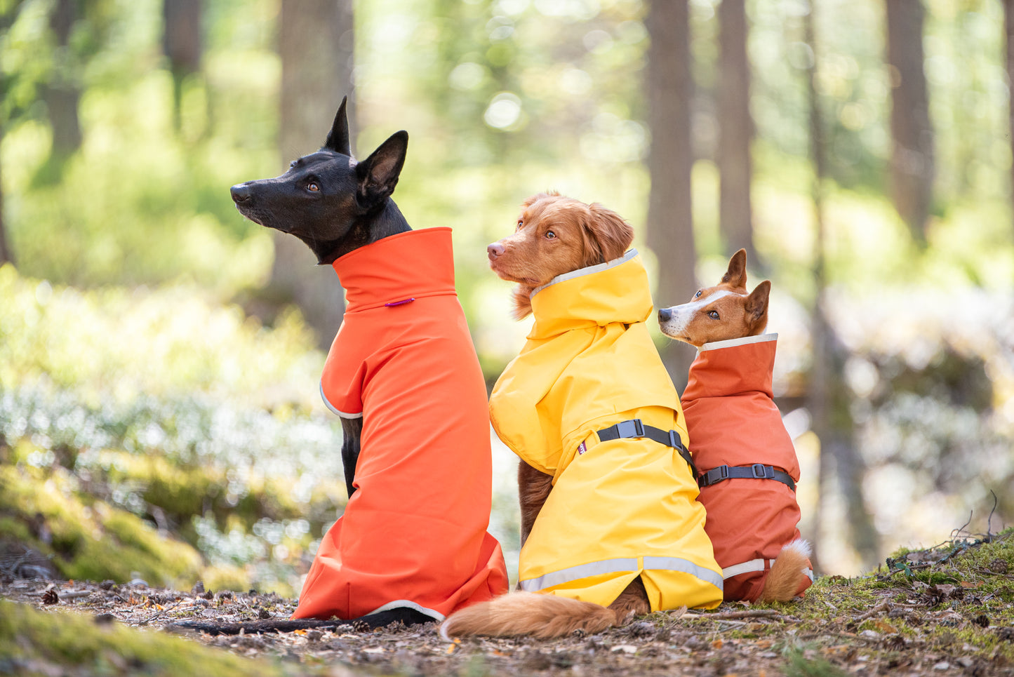 Kuori Pomppa Lemonade