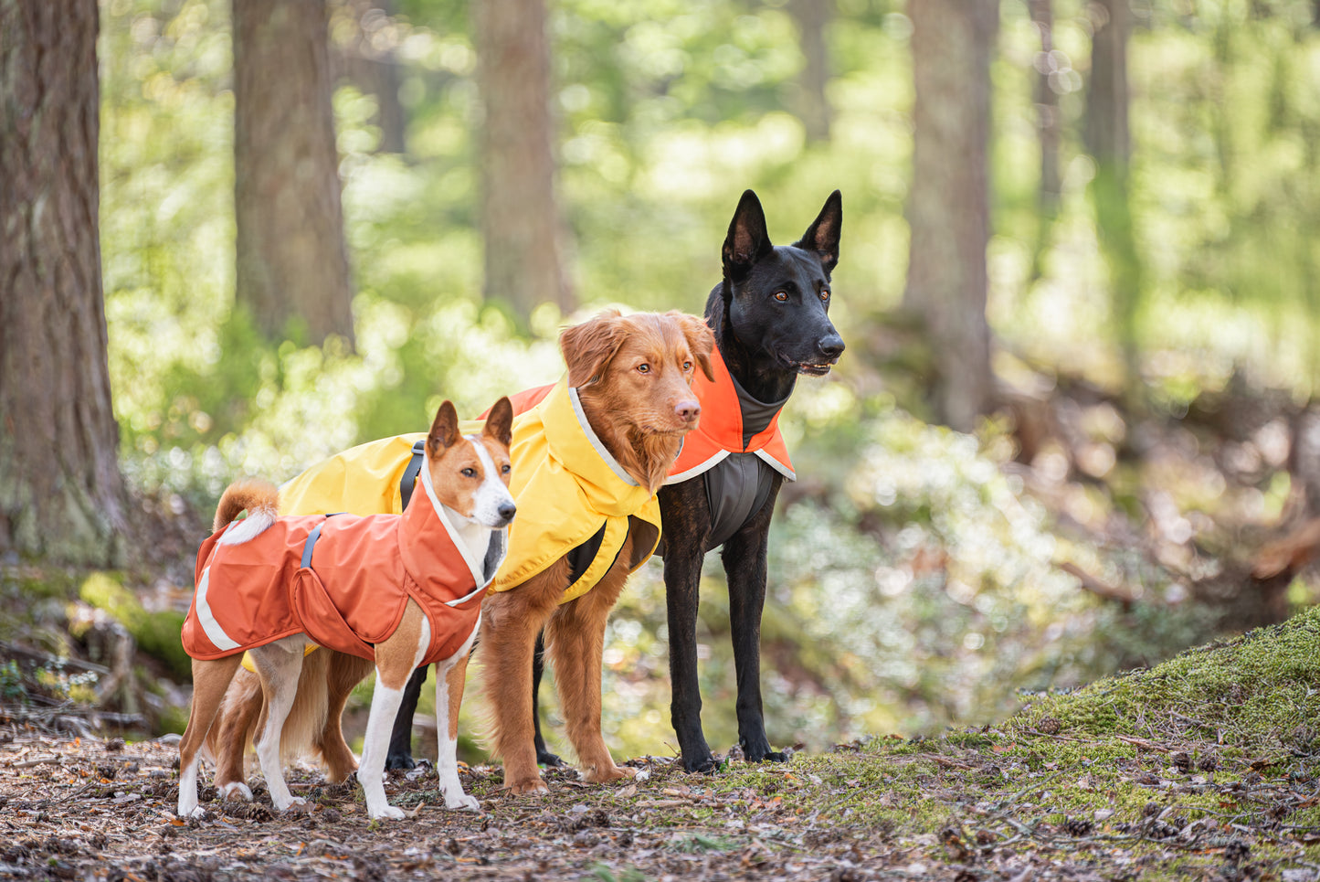 Kuori Pomppa Lemonade