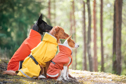 Kuori Pomppa Lemonade