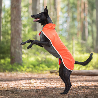 Sportti Pomppa Habanero