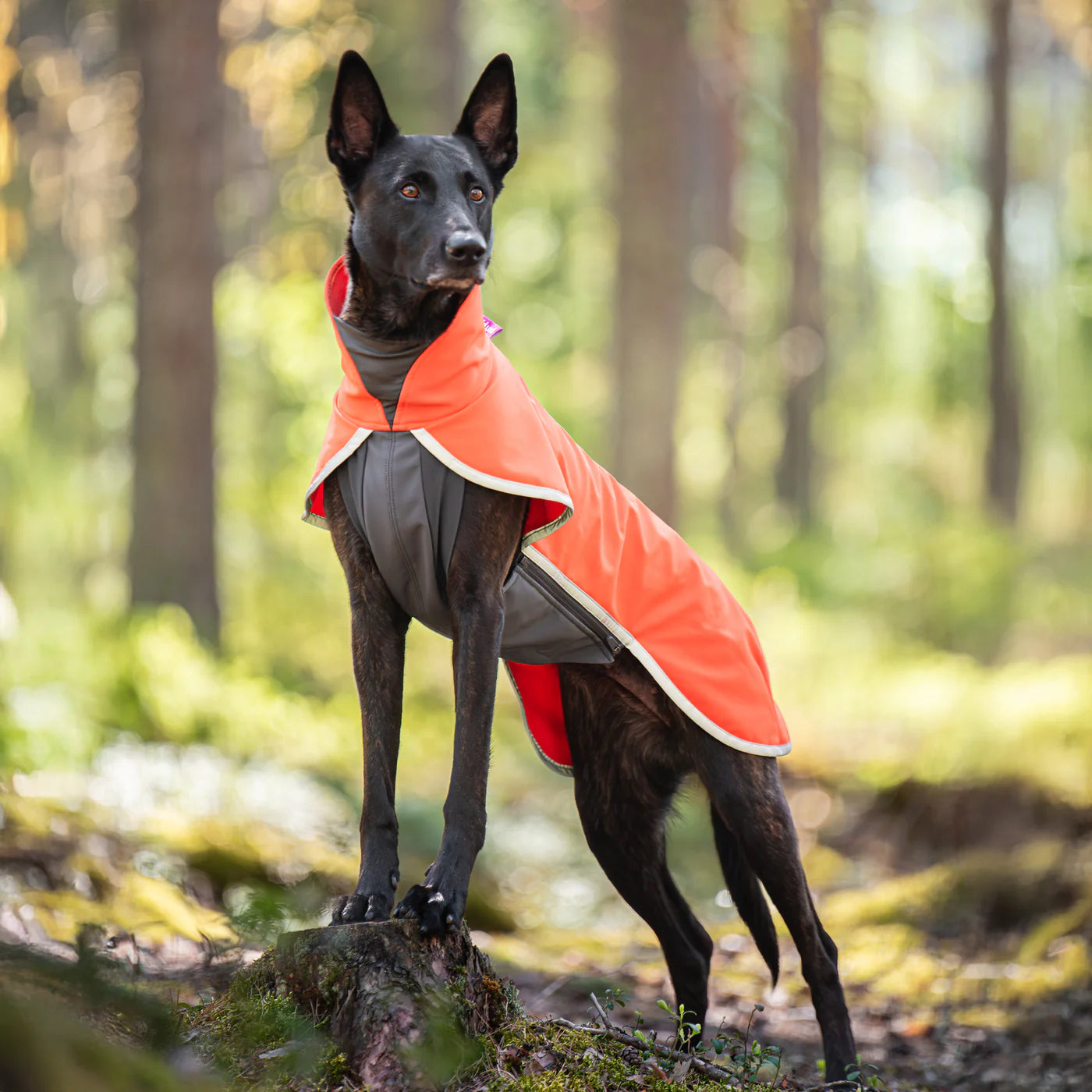 Sportti Pomppa Habanero