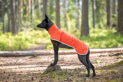 Sportti Pomppa Habanero