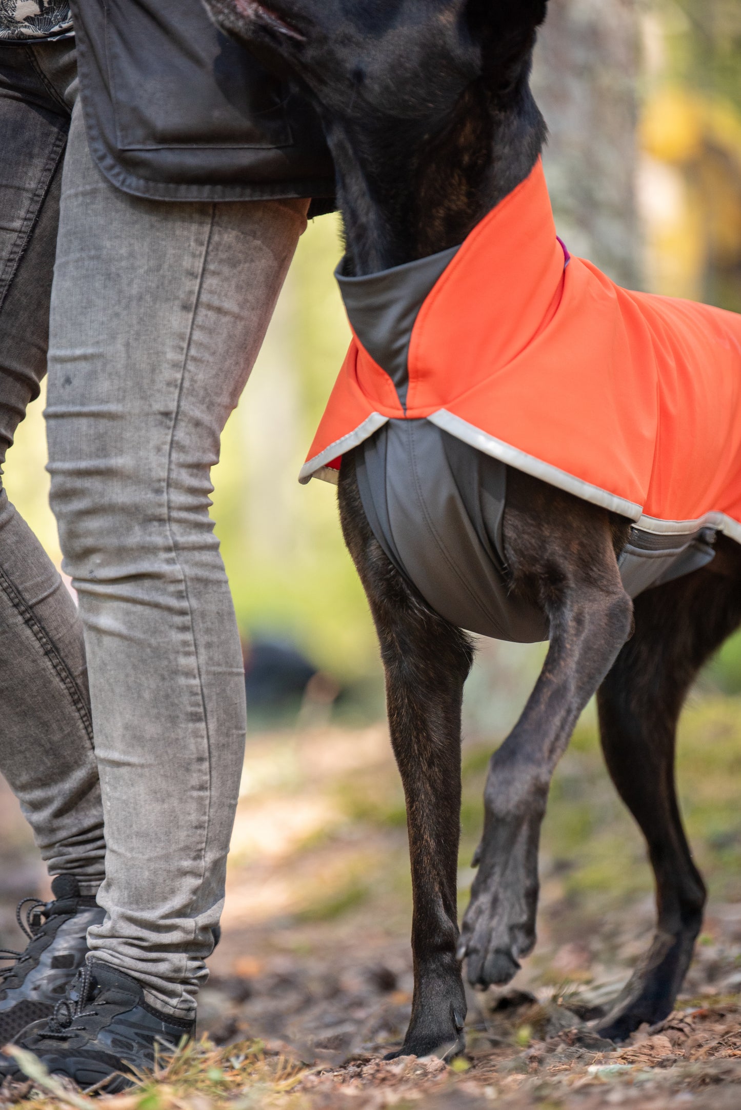 Sportti Pomppa Habanero