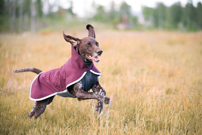 Sportti Pomppa Maroon