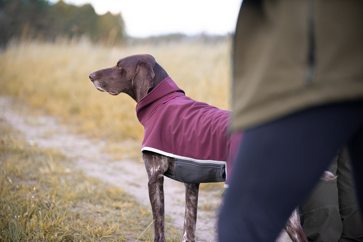 Sportti Pomppa Maroon