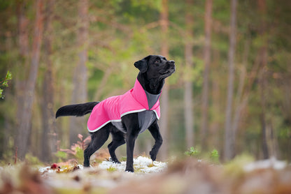 SporttiPomppa Pink