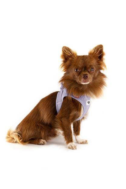 Vest Harness curli Clasp Air Mesh - Lilac