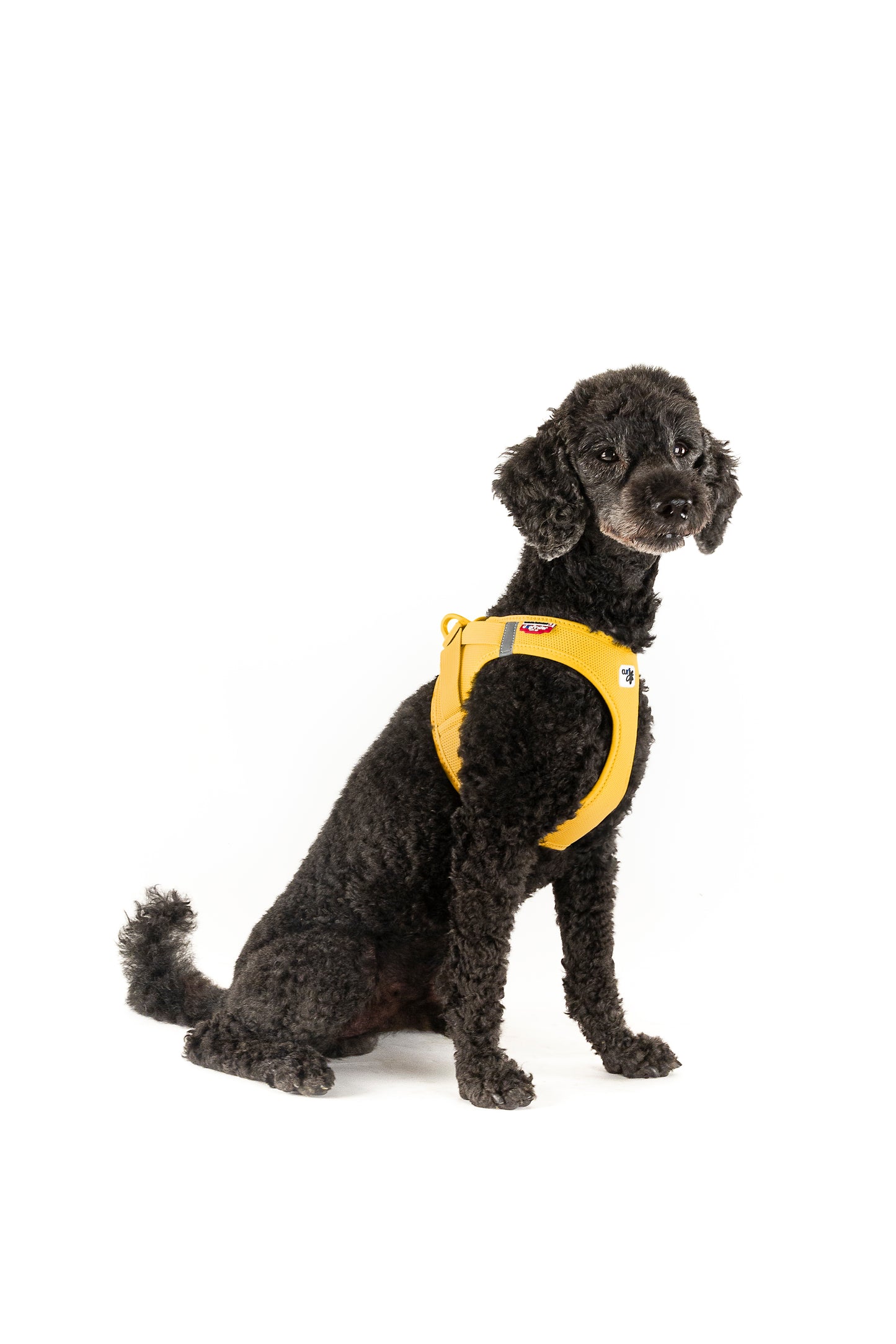 Vest Harness curli Clasp Air Mesh - Mango
