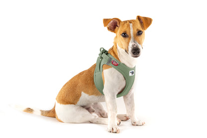 Vest Harness curli Clasp Air Mesh - Olive